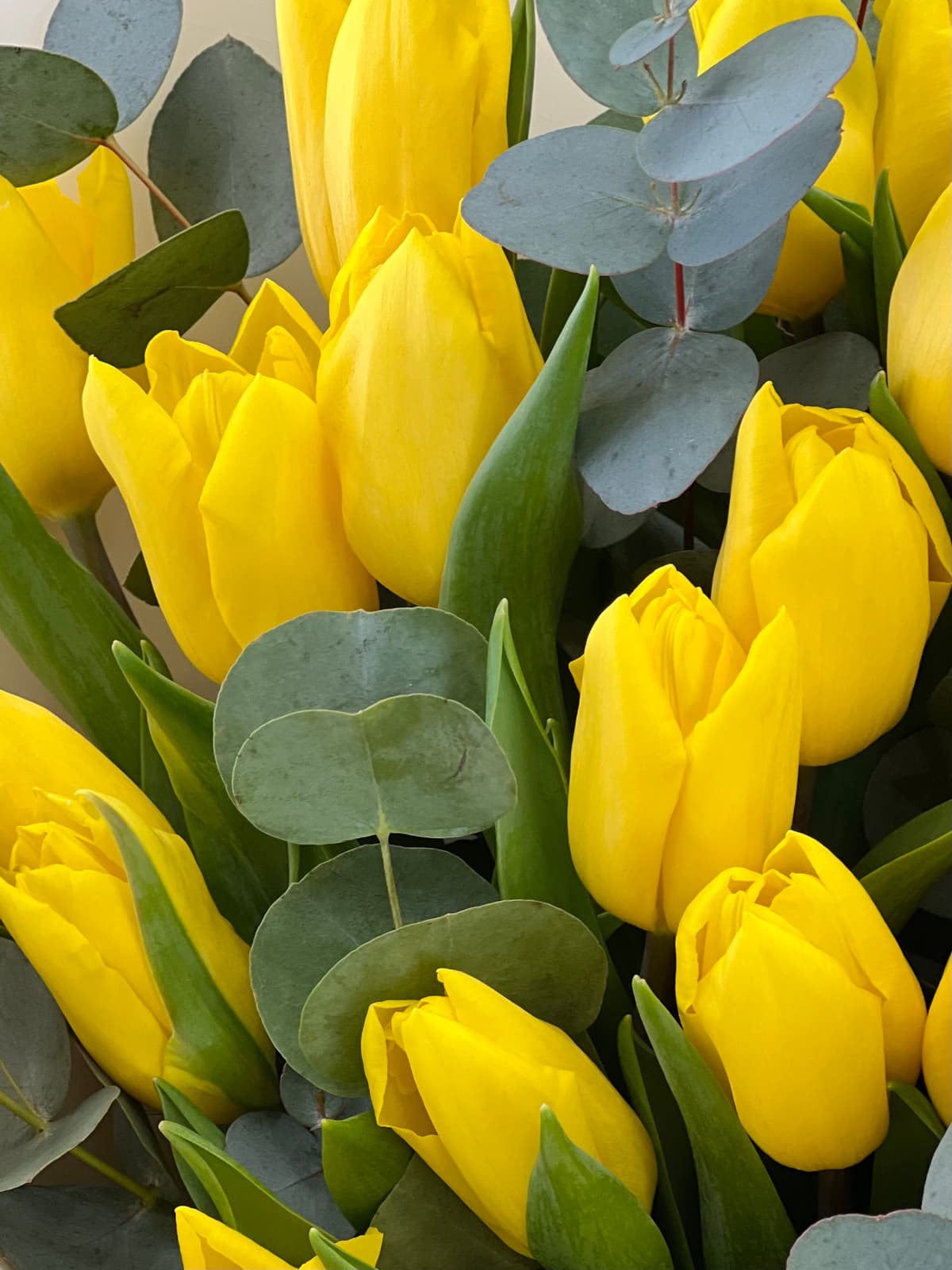 Свежий букет тюльпанов "Sunny" XS