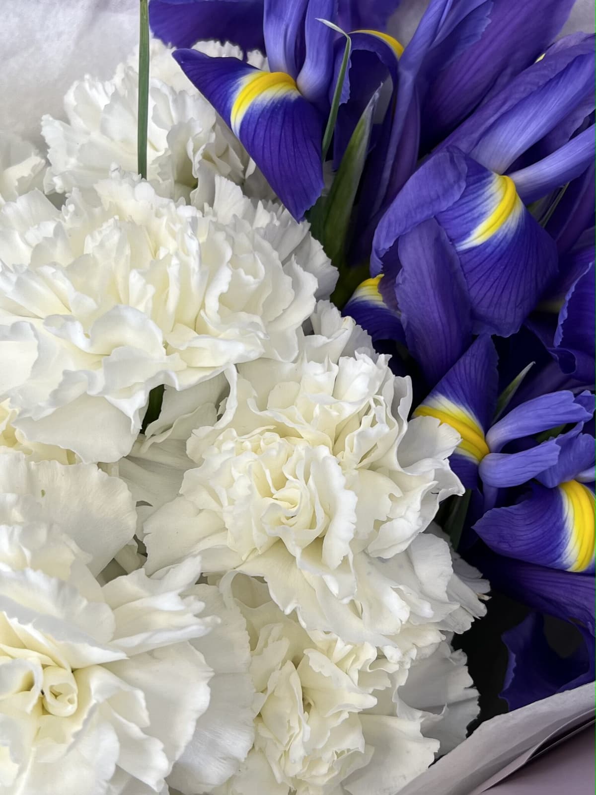 Красочный букет "Violet"