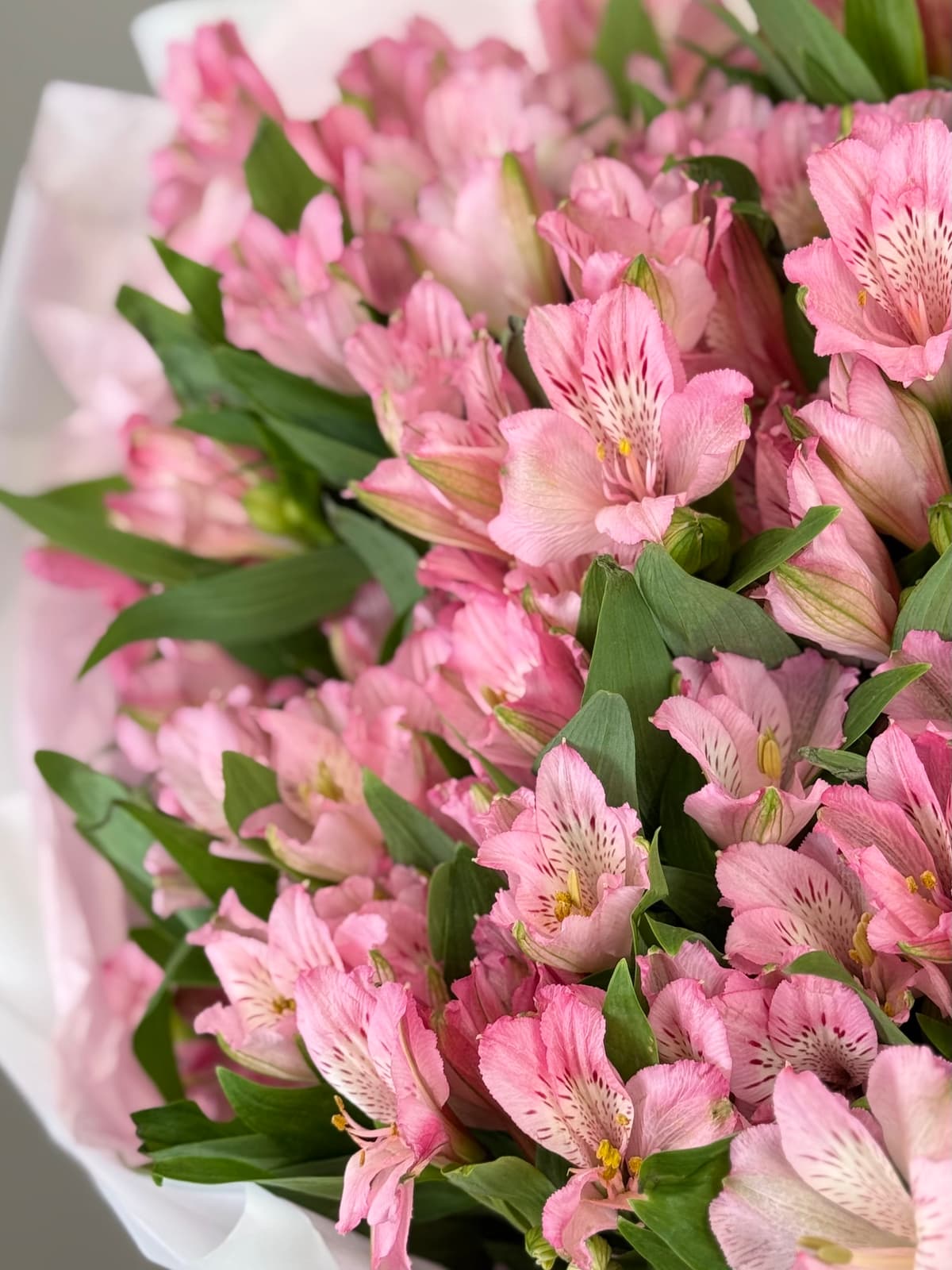 Цветочный букет из 5 альстромерий "Primadonna"