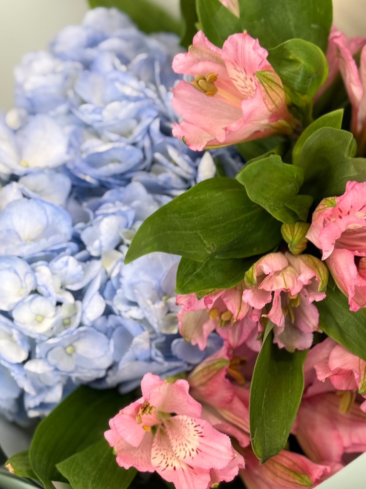 Дуо букет "Легкость" голубой