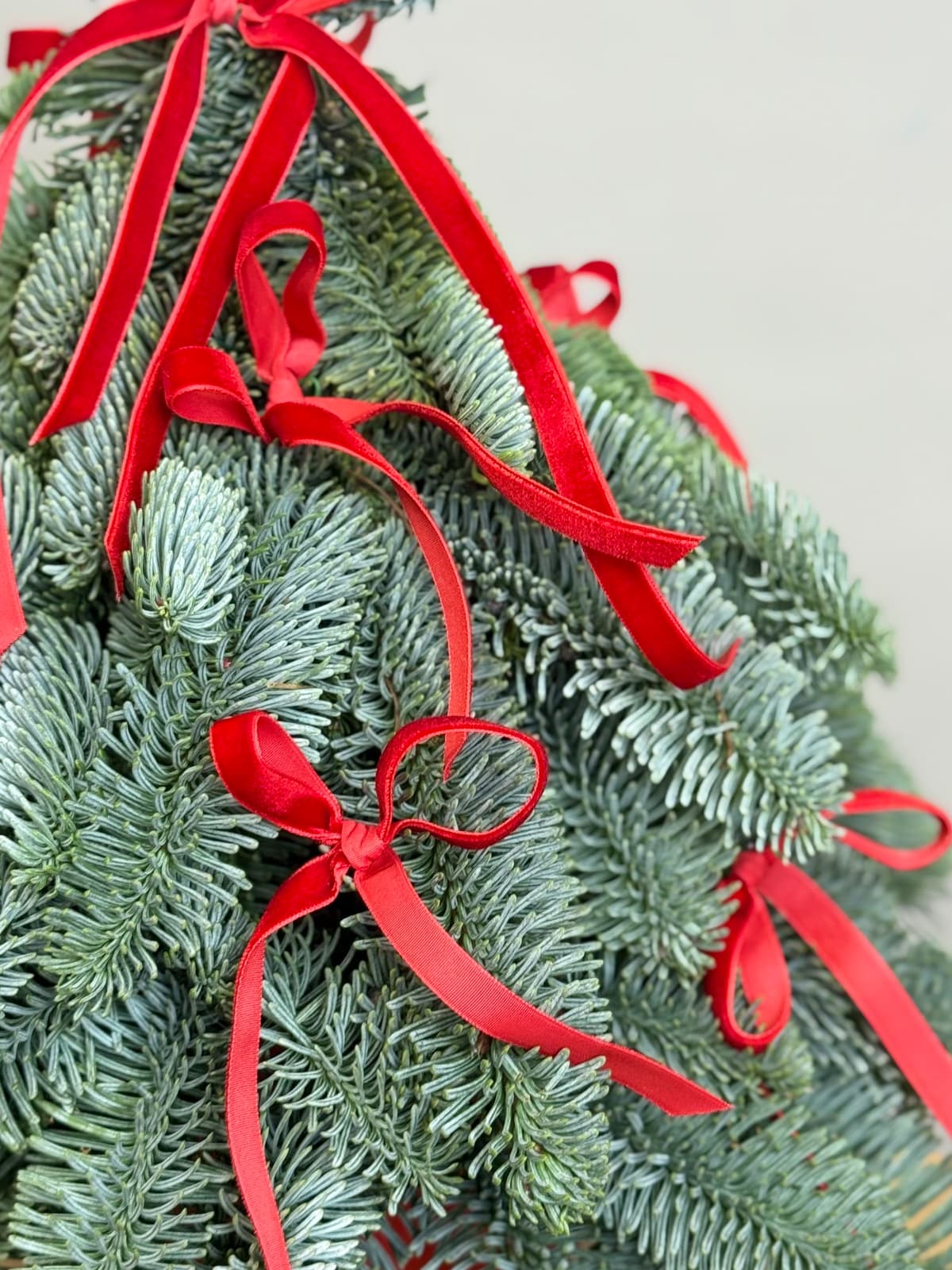 Елка "Красный бант"