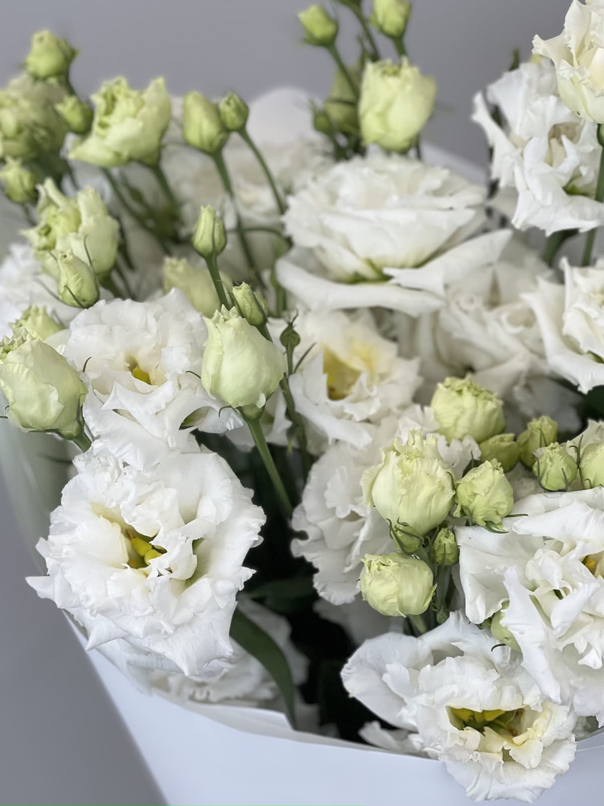 Эустома (Лизиантус) белая