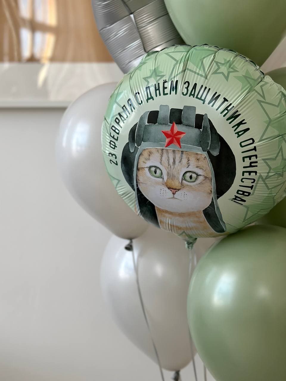 Фонтан из шаров «23 февраля.Кот»