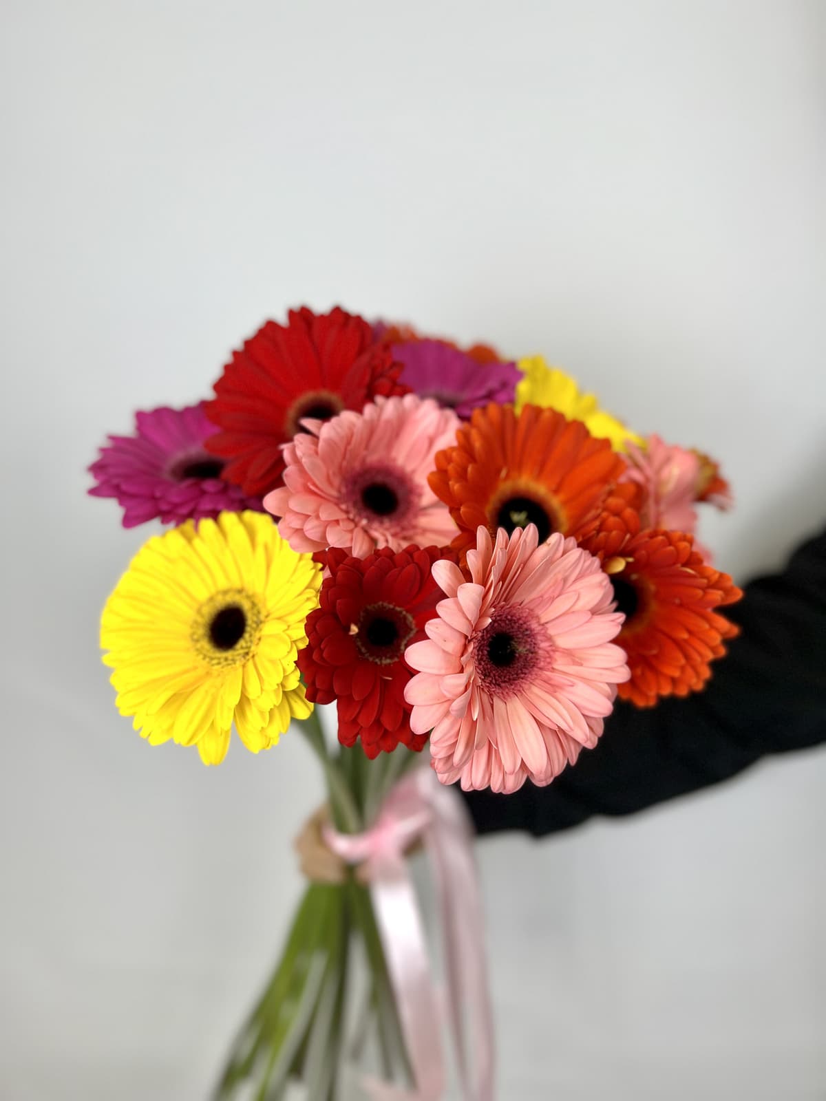 Герберы по акции от 15 шт