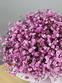Гипсофила крашенная розовая