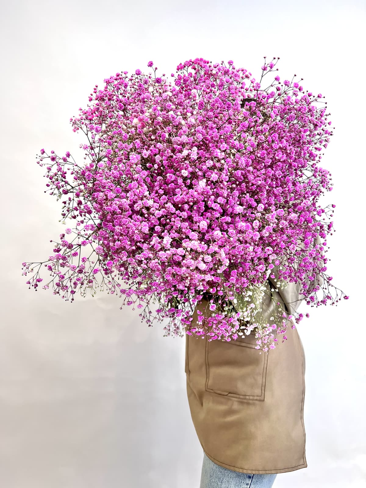 Гипсофила крашенная розовая