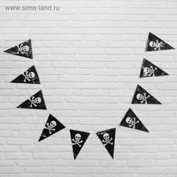Гирлянда «Пират», 2,5 м