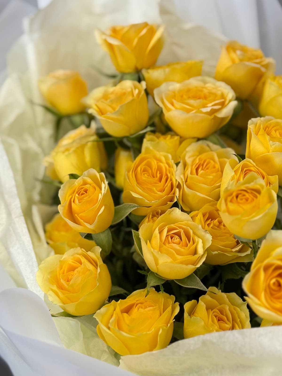Классический букет из 7 желтых кустовых роз