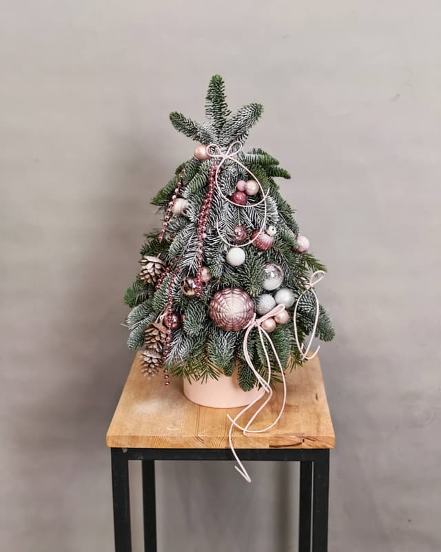 Композиции революционная 10422152 Композиции революционная 10422152