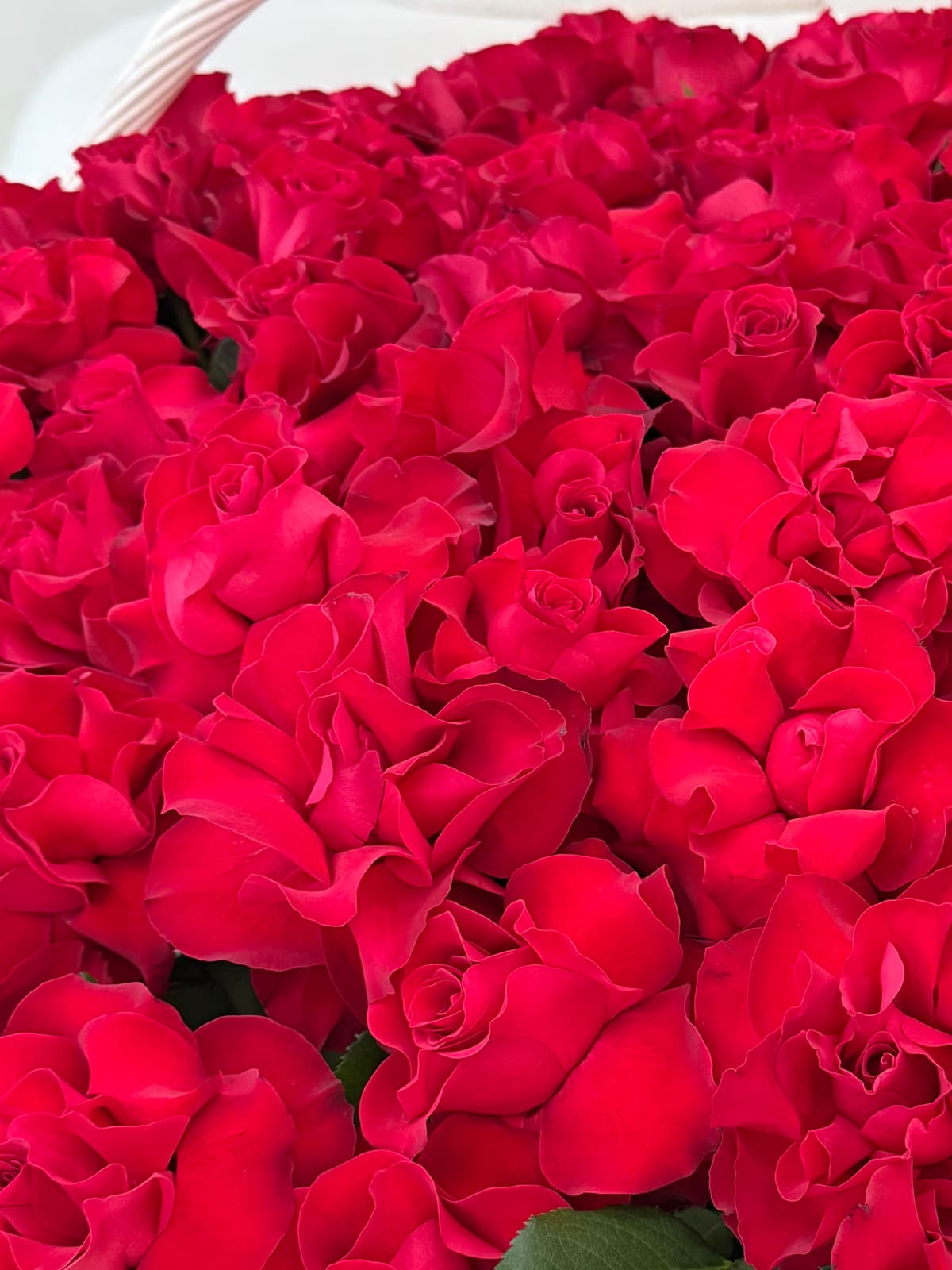 Композиция из 201 французской розы в корзине (ПРЕДЗАКАЗ)