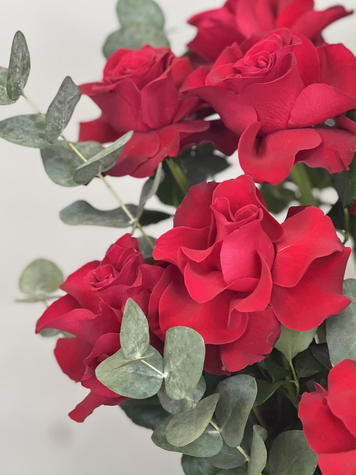 Композиция из французских роз "Купидон"