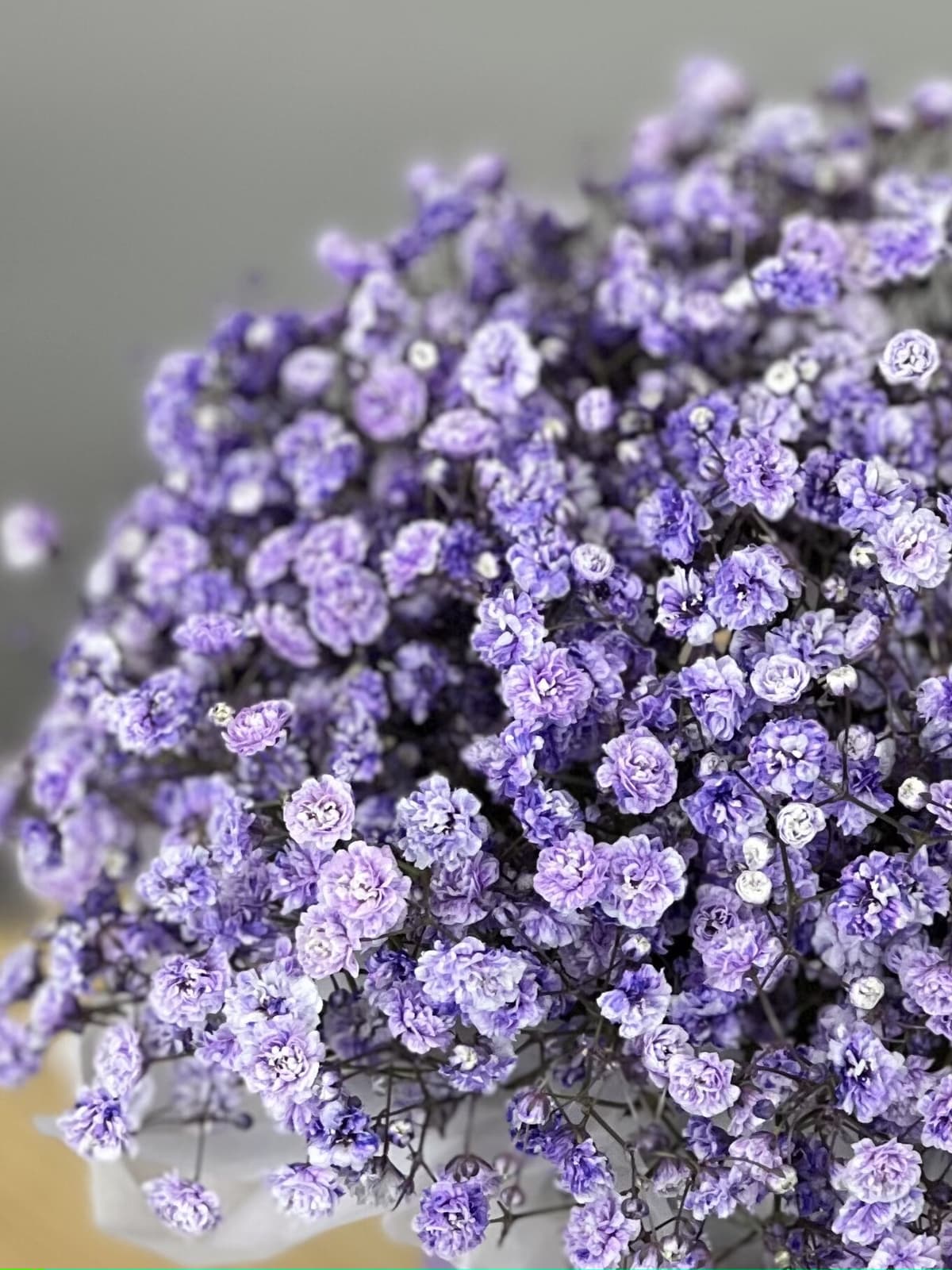 Композиция из гипсофилы в коробке "Lavander" S