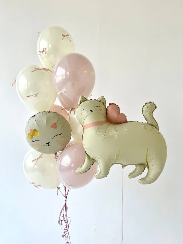 Композиция из шаров «Кошка с бантиком» Композиция из шаров «Кошка с бантиком»