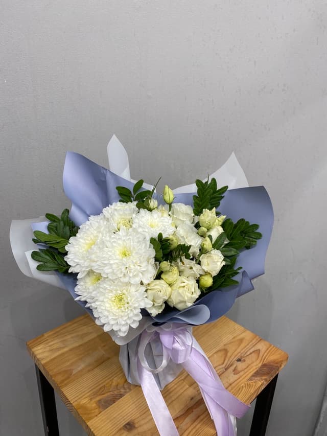 композиция проспект 02626062 композиция проспект 02626062