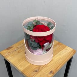 композиция проспект 11622062