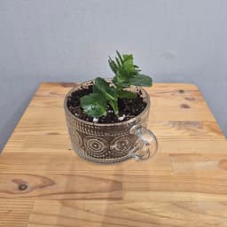 композиция проспект 11723062