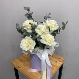 композиция проспект 20124062