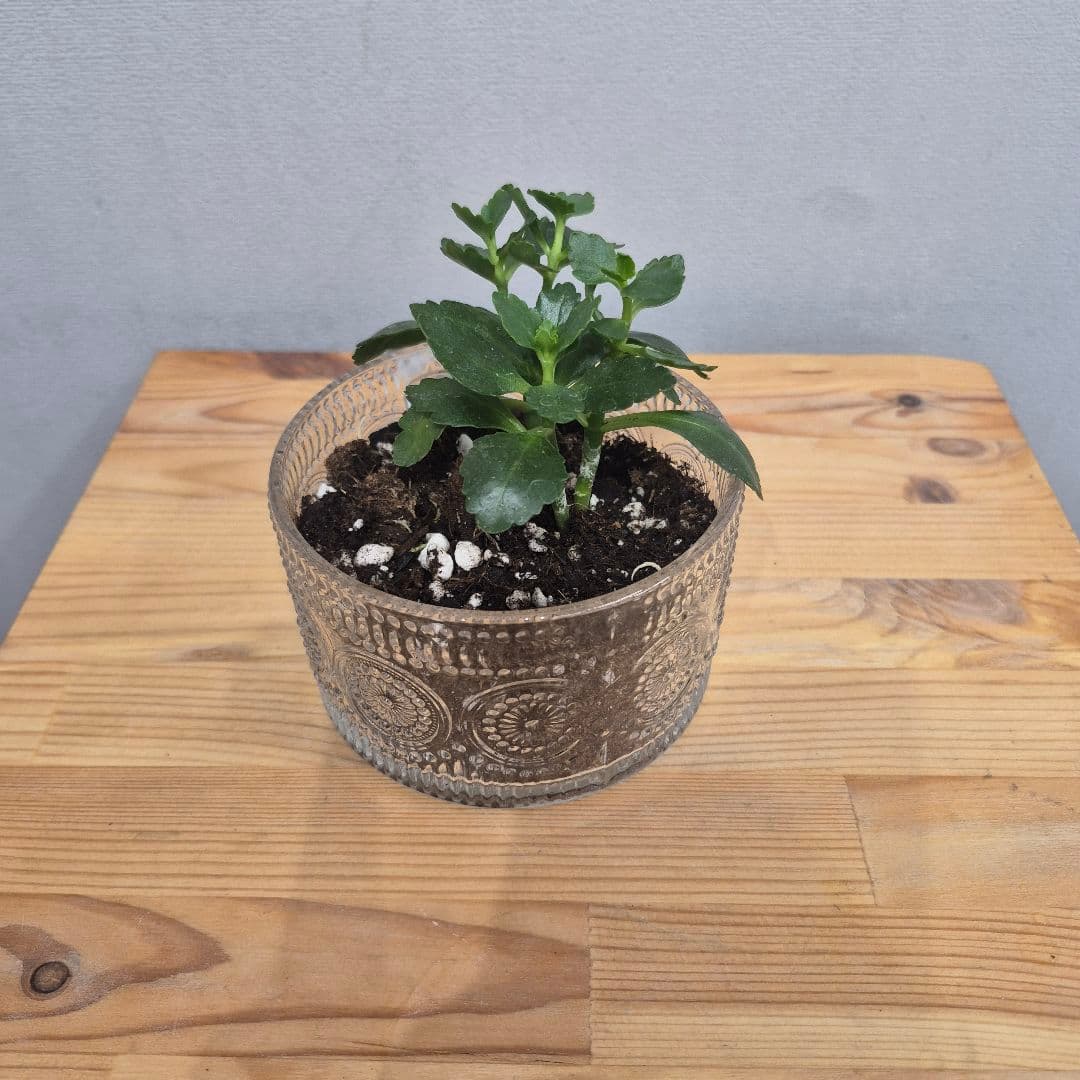 композиция проспект 21723062