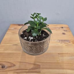 композиция проспект 21723062