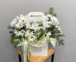 композиция проспект 40812152