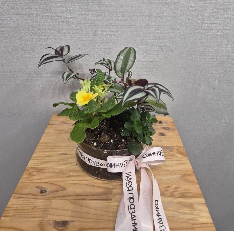 композиция проспект 90723062