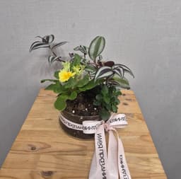 композиция проспект 90723062