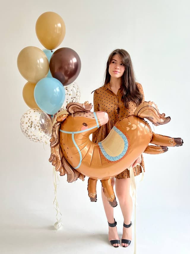 Композиция из шаров «Маленькая лошадка» Композиция из шаров «Маленькая лошадка»