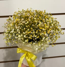 Композиция Менделеева 30104042