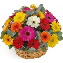 Оригинальная композиция в Корзине из 25 гербер в ассортименте