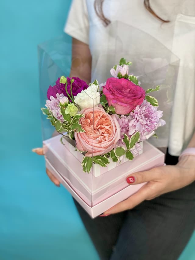 Композиция в прозрачном боксе №2 Композиция в прозрачном боксе №2