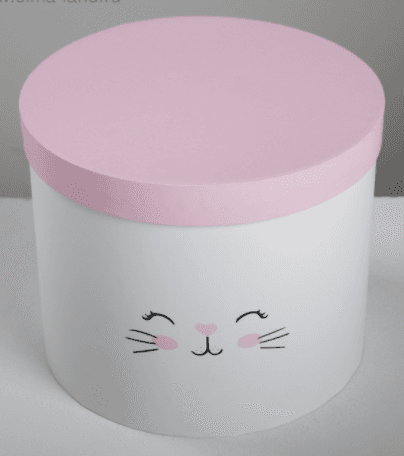 Коробка «Котики», 16 х 16 х 14 см
