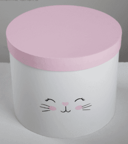 Коробка «Котики», 16 х 16 х 14 см