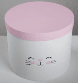 Коробка «Котики», 18 х 18 х 15 см