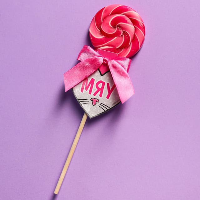 Леденец на палочке «Мяу»: со вкусом малины, 15 г Леденец на палочке «Мяу»: со вкусом малины, 15 г