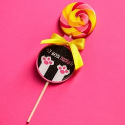 Леденец на палочке «У меня лапки»: со вкусом дыни, 15 г