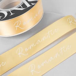 Лента декоративная "Romantik" 2,5см*25Y Песочная 243
