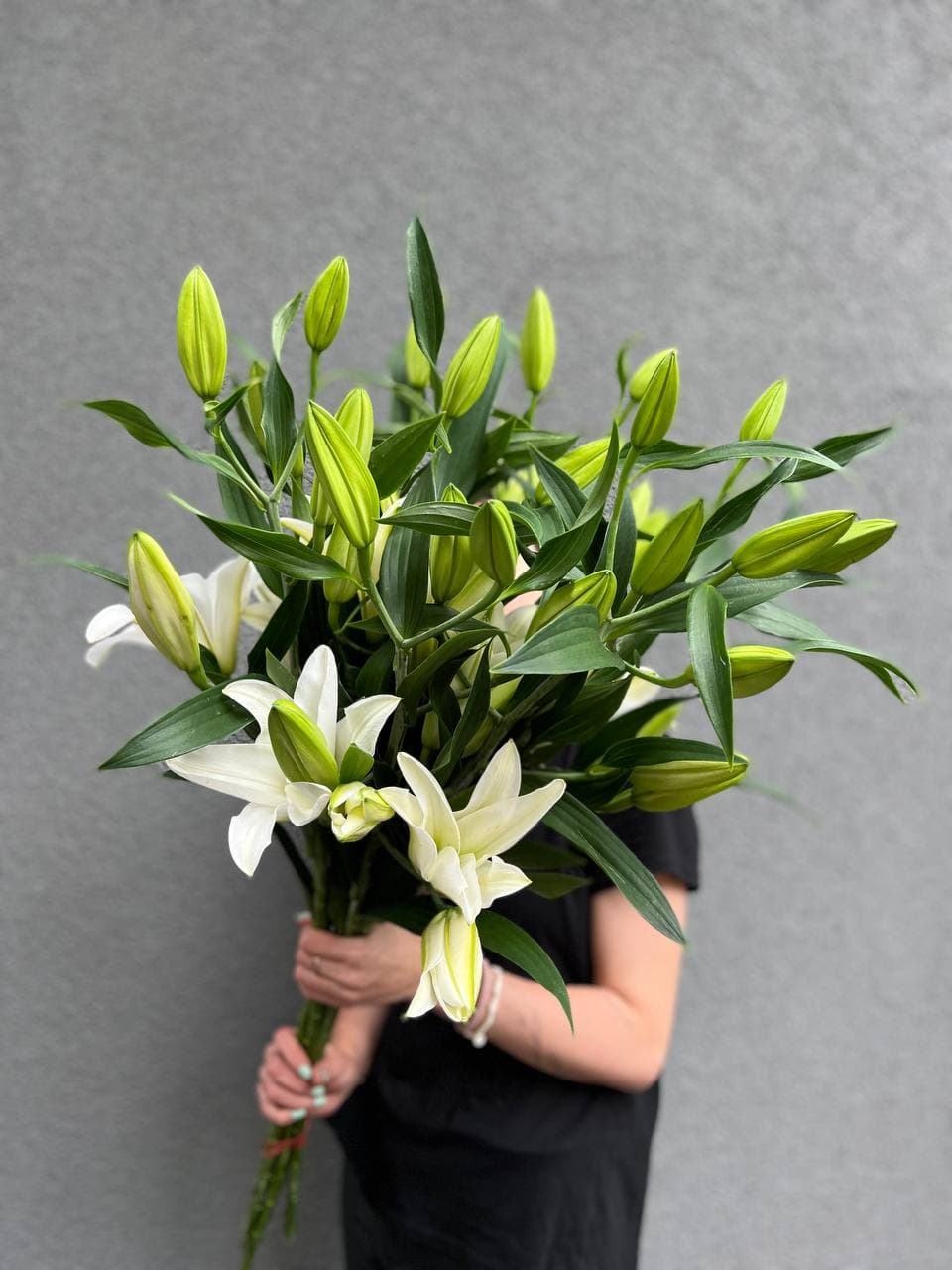 Лилии в ассортименте