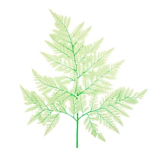 Лист папоротника стабилизированный , бирюзовый Лист папоротника стабилизированный , бирюзовый