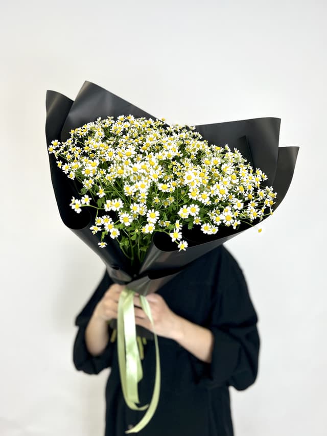 Праздничный моно букет из 17 Ромашек в матовой бумаге Праздничный моно букет из 17 Ромашек в матовой бумаге