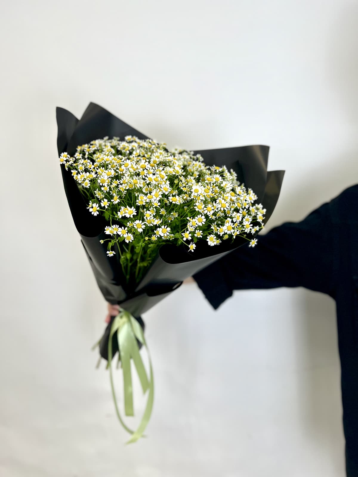 Праздничный моно букет из 17 Ромашек в матовой бумаге