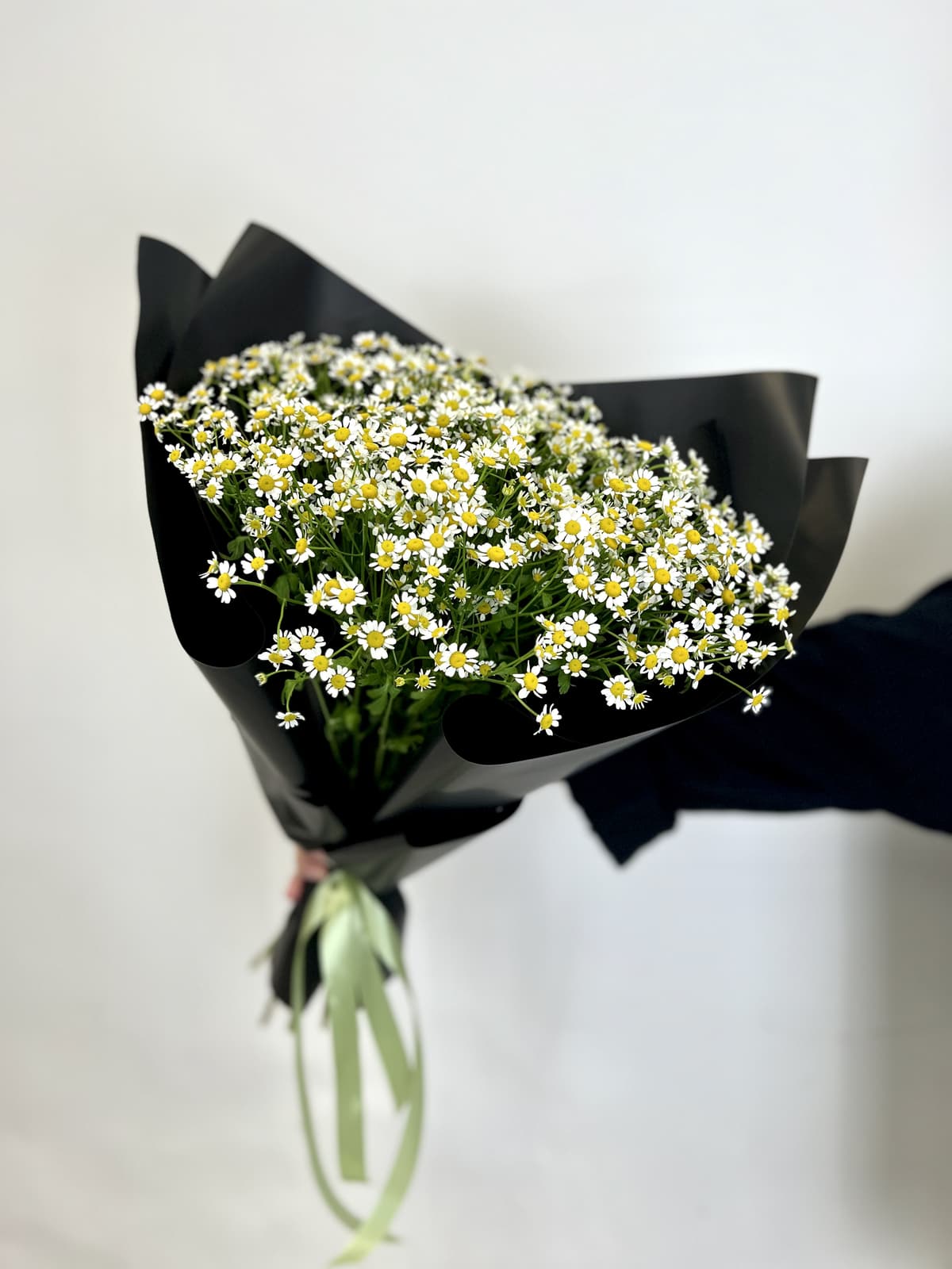 Праздничный моно букет из 17 Ромашек в матовой бумаге