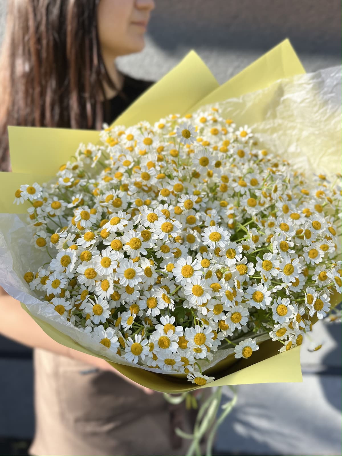Цветочный моно букет из 23 Ромашек в матовой бумаге