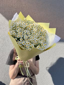 Цветочный моно букет из 23 Ромашек в матовой бумаге
