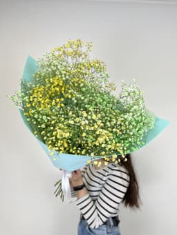 Моно букет из 9 жёлто-зелёных Гипсофил в фоамиране