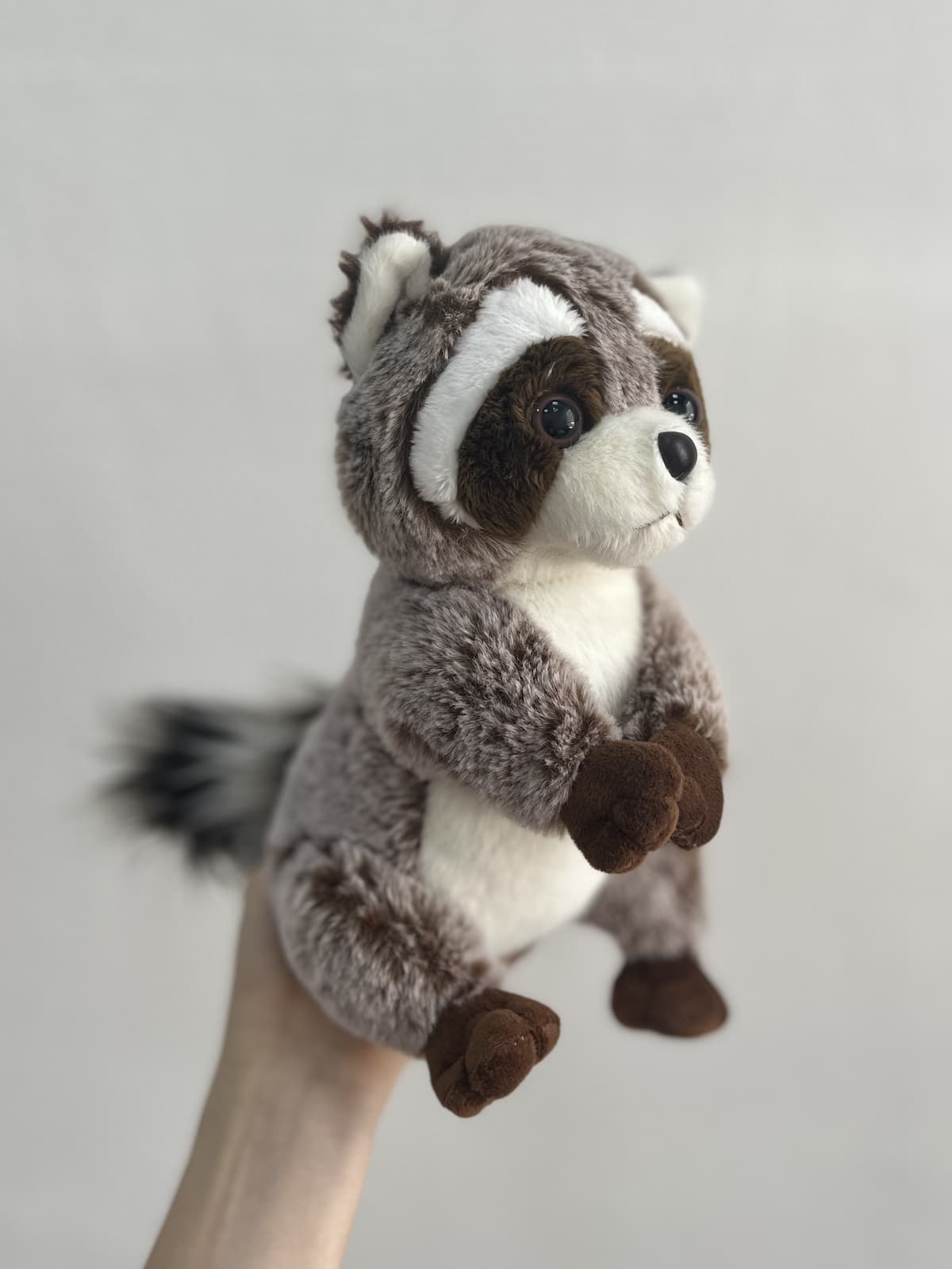 Мягкая игрушка "Енот", 23 см