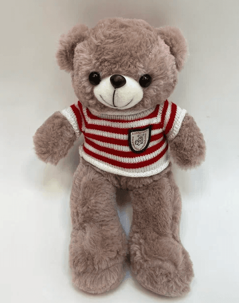 Мягкая игрушка "Мишка", коричневый в красной кофте