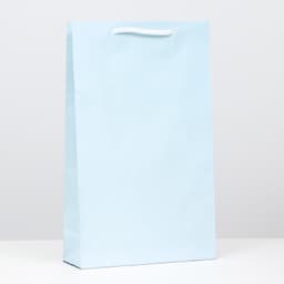 Пакет ламинированный, голубой, 40,5 х 24,8 х 9 см