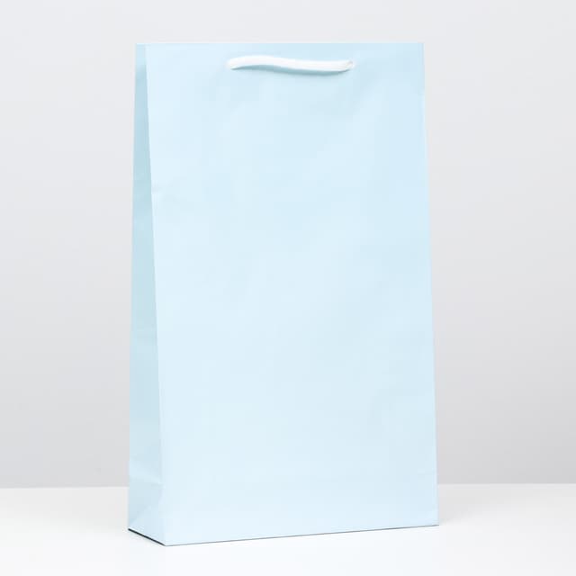 Пакет ламинированный, голубой, 40,5 х 24,8 х 9 см Пакет ламинированный, голубой, 40,5 х 24,8 х 9 см