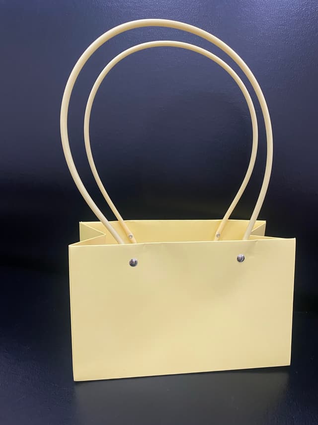 Пакет под цветы 22*10,5*13,5см Прямоугольник сливочный с пластиковой ручкой Пакет под цветы 22*10,5*13,5см Прямоугольник сливочный с пластиковой ручкой