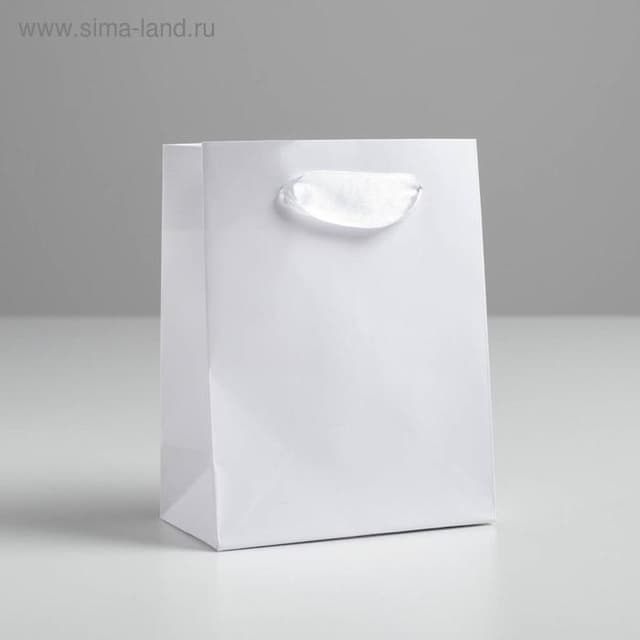 Пакет подарочный «Белый», 11,5 × 14.5 × 6 см Пакет подарочный «Белый», 11,5 × 14.5 × 6 см